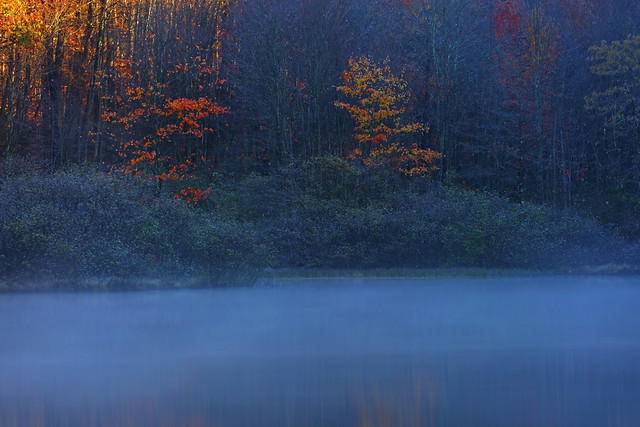 Coopers Rock Lake: Morning fog