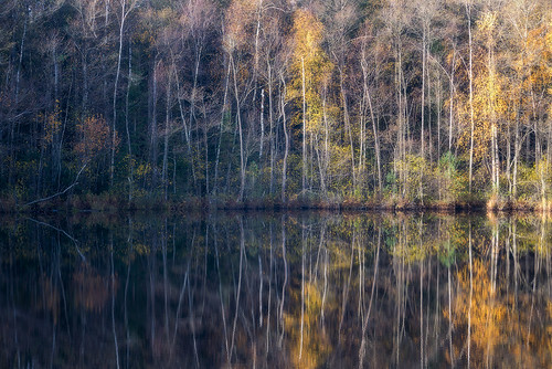 lietuva lithuania lithuanianlandscape autumn forest lake trees reflections natural nopeople tranquility