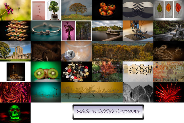 October 2020 Collage
