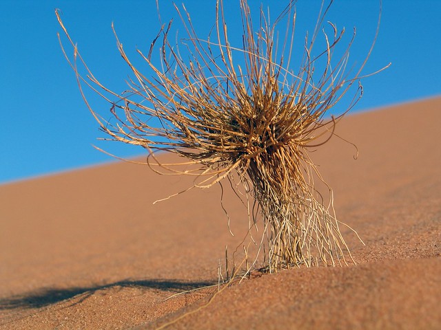 533 Libya Desert Sand Dunes