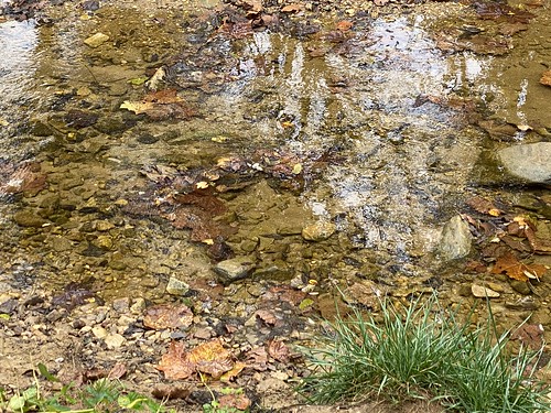 parkville maryland cromwellvalleypark baltimoreco parks streams reflections texture iphone