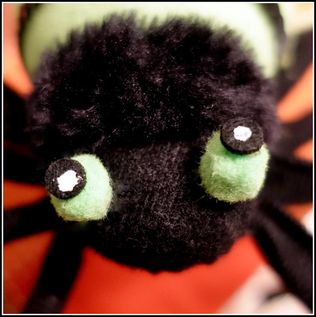 Spooky Spider [Macro Mondays][Halloween]