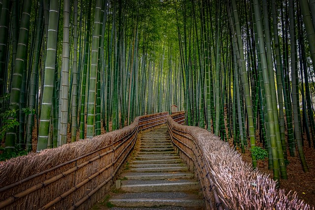 Adashino Nenbutsuji Bamboo Steps