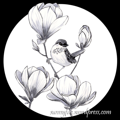 30 sparrow on magnolia