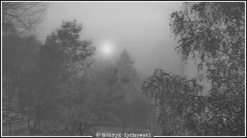fog bw blackandwhite monochrome sunrise słońce sun pentaxk1 drzewo drzewa tree trees mgła mist pejzaż landscape