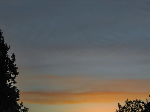 america bakersfield california kerncounty platocourt platoct usa unitedstates cloud jfflickr photosbydavid plant postedonflickr sky sunset tree