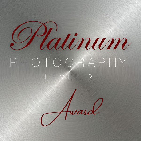 Platinum Photography Level 2 - Best of the Best