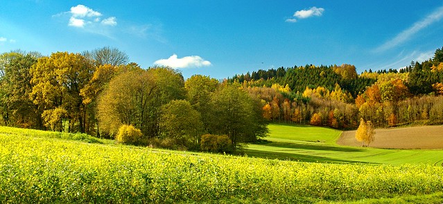 Herbstlandschaft bei Burgerding, Blick Richtung, Bad Griesbach, Rottal, (Niederbayern)