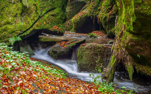 waterfalls wasserfall mullerthal müllertal autumn landscape landschaftsfoto landscapefineart nature naturfoto naturefineart luxembourg luxemburg luxemburgerschweiz nikon fineartphotography gerhardrkeilen d700