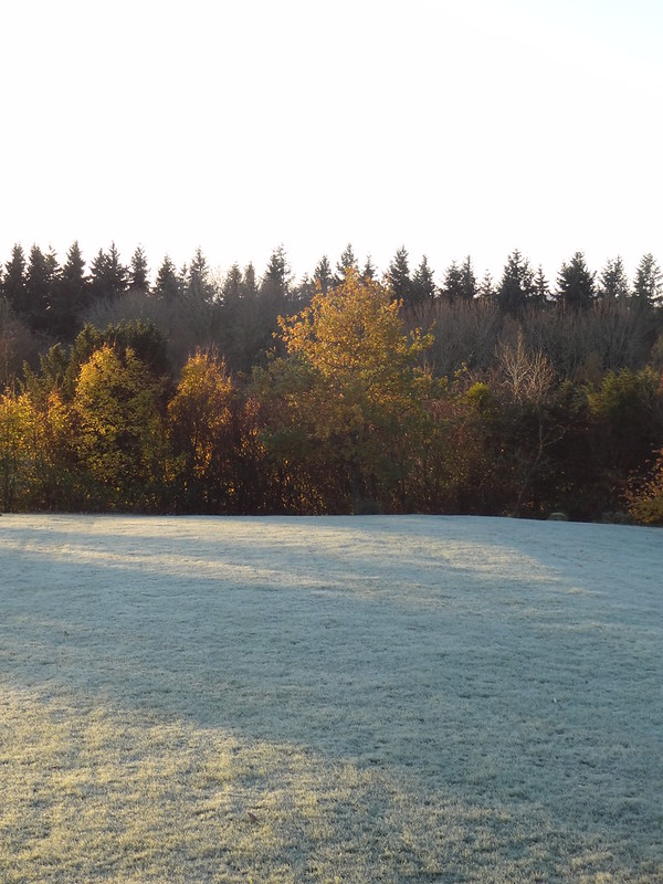 First frost