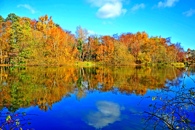 Autumn colours reflected