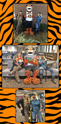 library_tigerking_collage