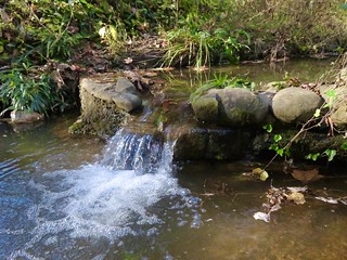 Stream at Dumbarton Oaks Park | The naturalistic Park in Geo… | Flickr