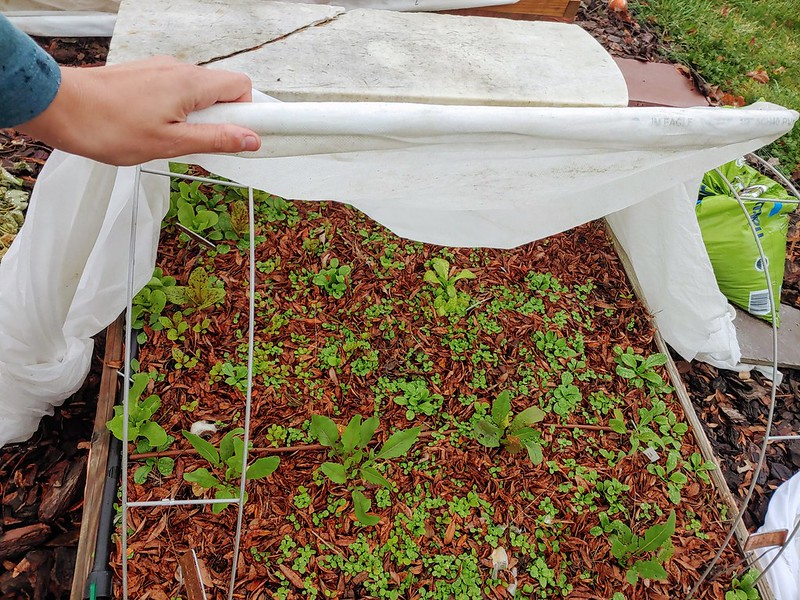 PVC pipe in garden fabric sleeve for easy open/close