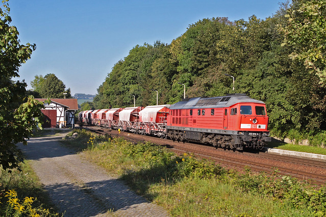 233 076     ( DB Cargo )