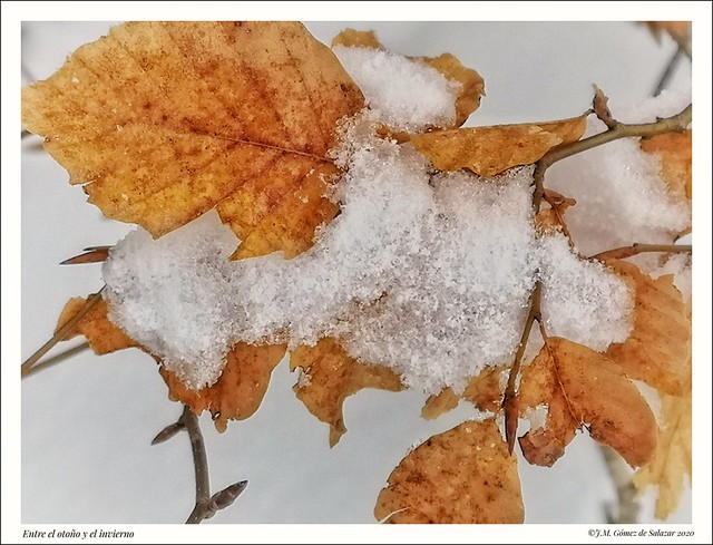 Otoño-Invierno / Between autumn and winter
