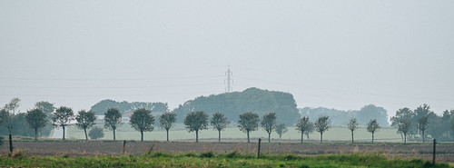 mist tree nature landscape denmark haze visualpoetry struer vejrum centraldenmarkregion vejrumstad minoltamctelerokkor100mmf35