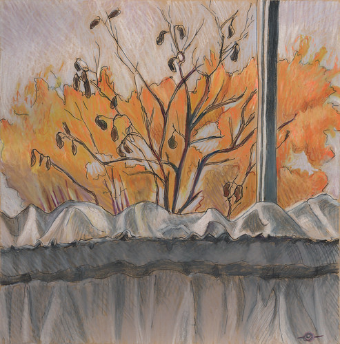 insideoutside autumn autumnlandscape trees window curtain cedarfallsiowa ink coloredpencil marciamilnerbrage wickercoloredpaper
