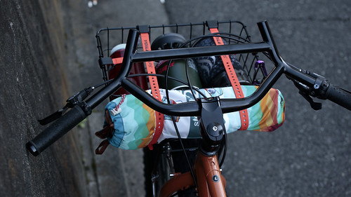 SURLY / ECR Bike Packing Custom