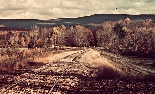 olympusem1 northbenningtonvermont professorbop drjazz railroadtracks rails railroad railway landscape trees sky mountain hills autumn fall traintracks gradecrossing rr