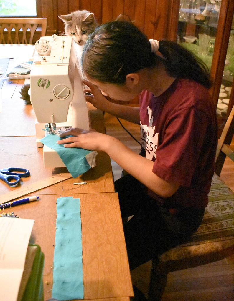 Sewing for the fair