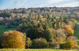 Tanner's Hatch Youth Hostel, Ranmore Common, Surrey, in late autumn.