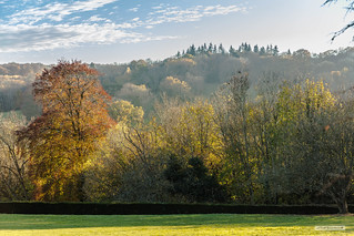 Setting sun catches treetops and enhances autumn colours from Polesden Lacey Estate in the sumptuous Surrey Hills.