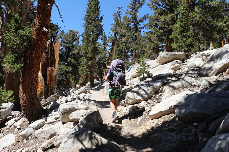Traversing along north of Cottonwood Pass on the PCT as we head to Chicken Spring Lake