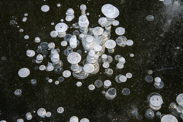 11-3-20-3381 Potter Marsh Ice Bubbles-flickr