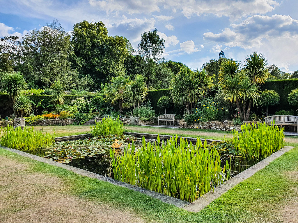 A glimpse of the Italian Garden at Hever Castle: in the middle there is a rectangular pond on which water lilies are floating. In the corners grow tall plants resembling grass. The garden is fenced by tall dark green hedges, and flanked with palm trees. Around there are also white benches to sit on. 