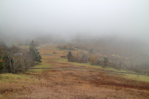 foggy fog mist misty nikko tochigi japan kisugedaira kirifuri highland plateau