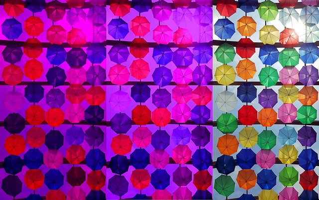 Colorful umbrellas, showing three different perceptions of color