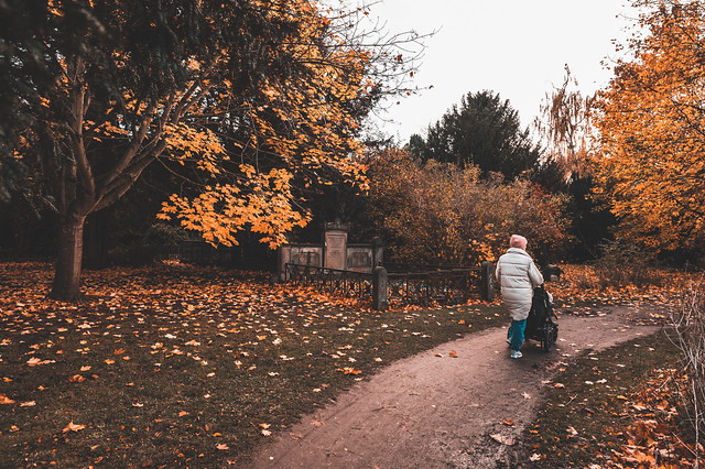 Autumn strolling