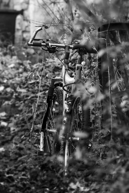 Vergessenes Fahrrad / Forgotten bike