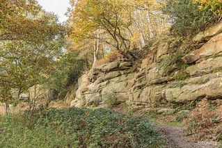 Lower elevation outcrops of Tunbridge Wells Sandstone at Harrison's Rocks, Groombridge, East Sussex.