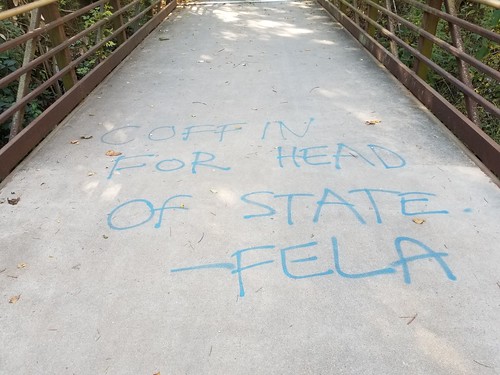coffin for head of state - fela graffiti contra Trump