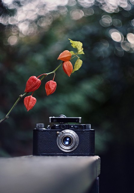 📷 Leica II. (1932 - 1948) Leitz Elmar 50/3.5 M39 . Legendary camera  from the time of WW II. 📷 - - - Photo: Nikon D7200 & Carl Zeiss Jena Biotar 58/2 🎥