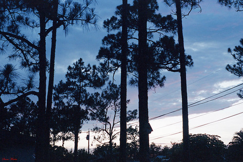 sky clouds evening sunset trees 1986 lakeworth florida