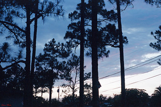 Evening Sky by Home, 1986