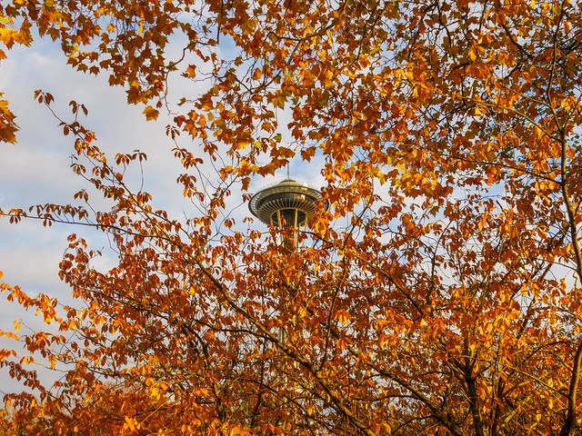 Fall in Seattle