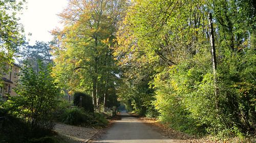 A walk round Barham