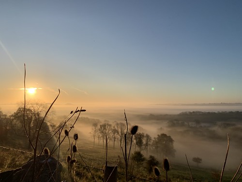 documentary landscape photography colerne wiltshire sunrise nature fog south west england iphone xs