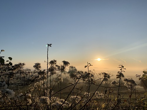 documentary landscape photography colerne wiltshire sunrise nature fog south west england iphone xs