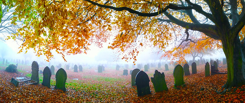 mementomori cityroadcemetery sheffield england uk graveyard autumn fall foliage orange leaves death dead plague tombs rest resting past old ancient november remember remembrance remembranceday memories memory thoughts think thinking sad depressing lost southyorkshire landscape scenery romantic branches tree life pray prayer