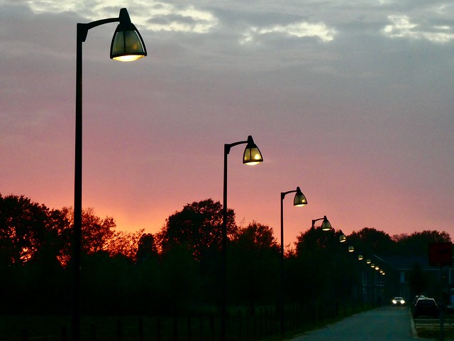 Streetlights at dusk