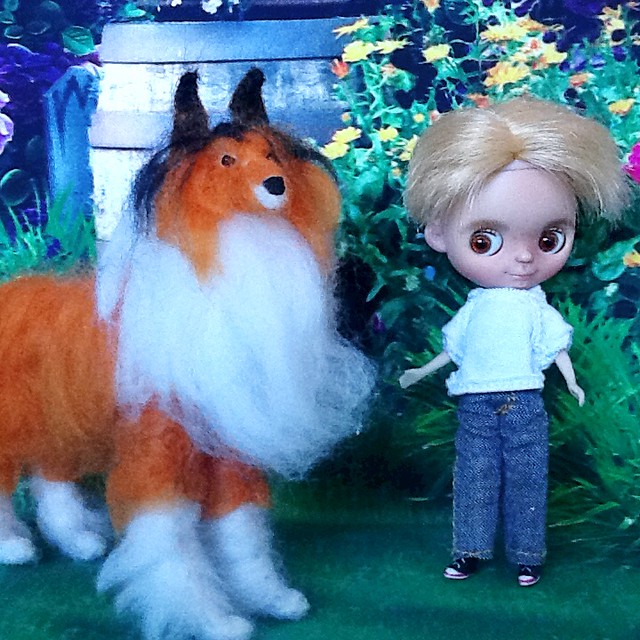 Blythe-a-Day: C is for...Collie:Timmy to Lassie: 