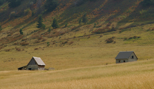 hill cabins grass landscape montana