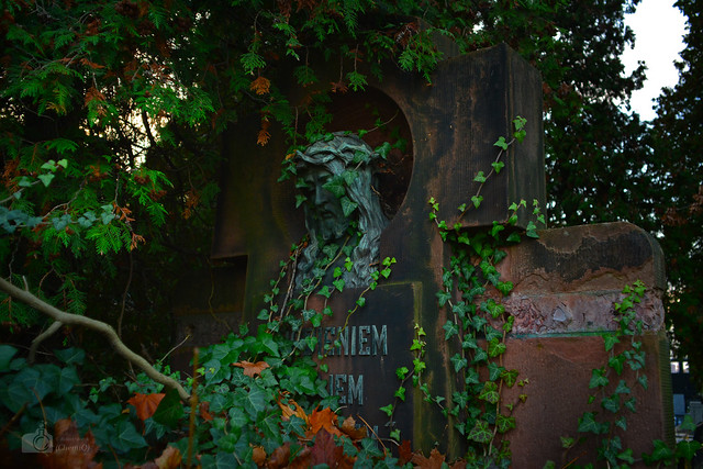 The old cemetery in Sosnowiec