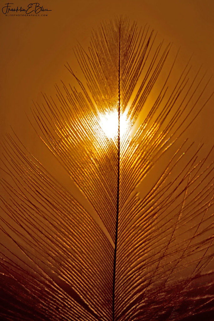 Feather Filter for the Sun