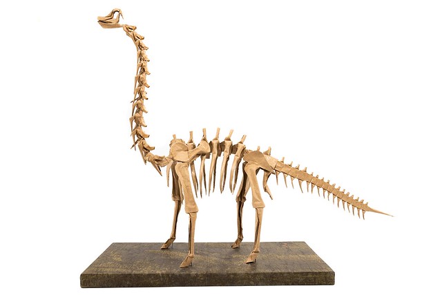 Brachiosaurus skeleton - Fumiaki Kawahata